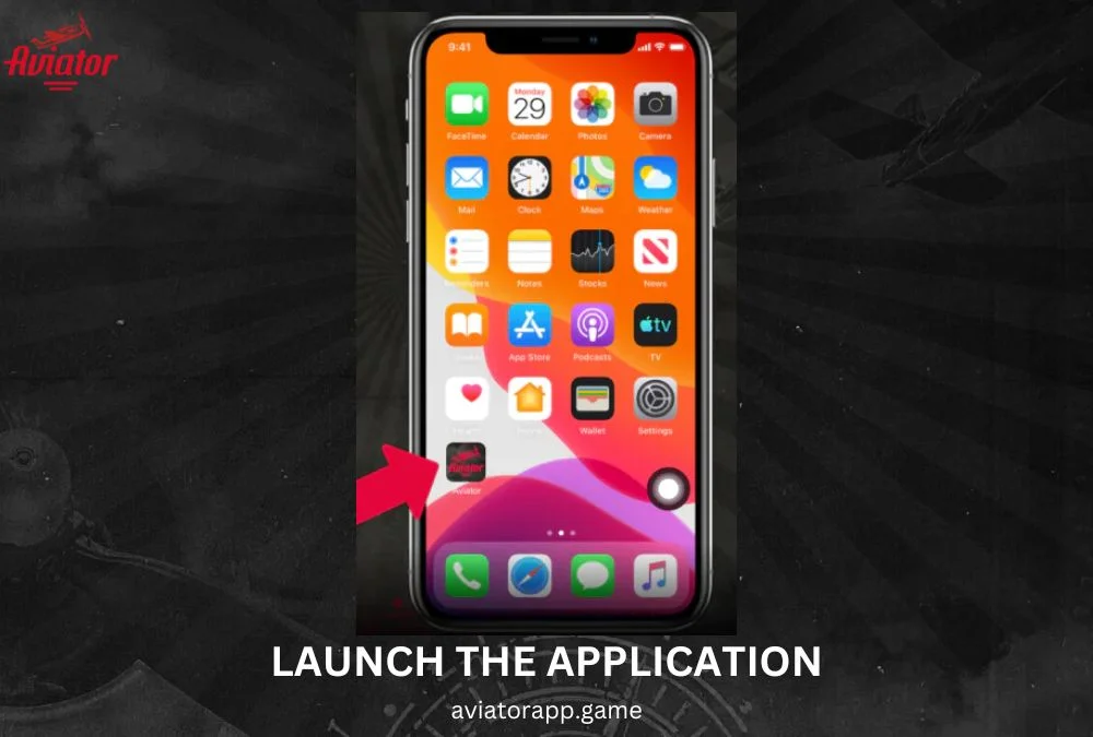 launch the application